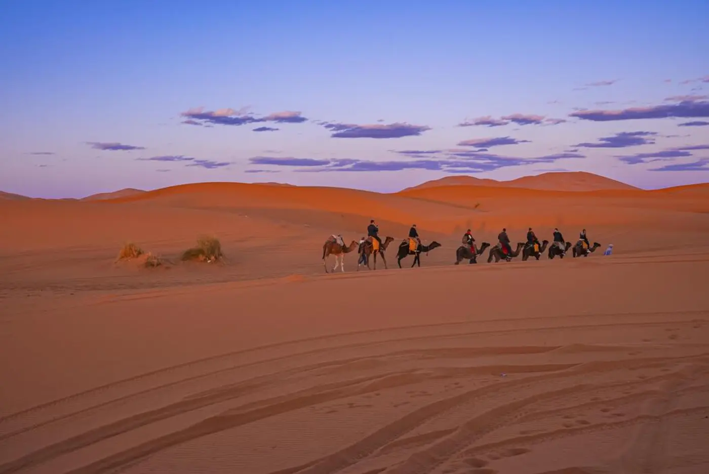 6 Dagars Fes till Marrakech Ökenresa