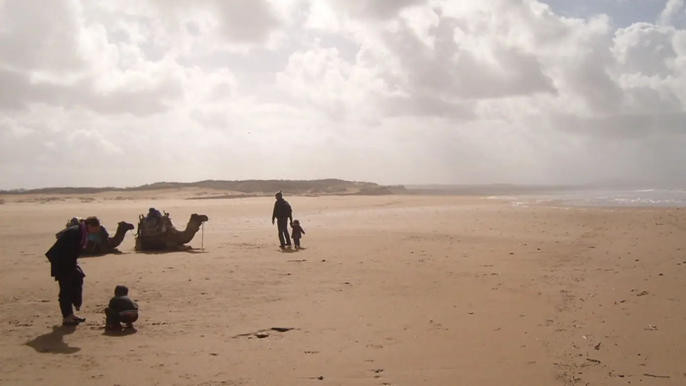 15 Dagars Marocko Rundresa: Kungliga Städer, Öken & Kust — Coastal Beach Camels