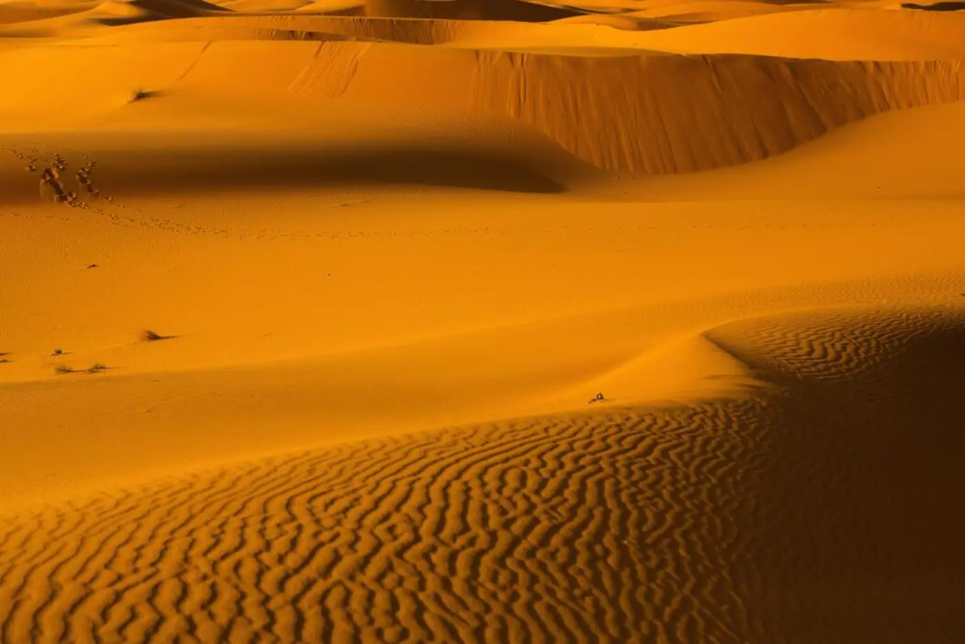 3-Dagars Ökenresa från Marrakech till Merzouga